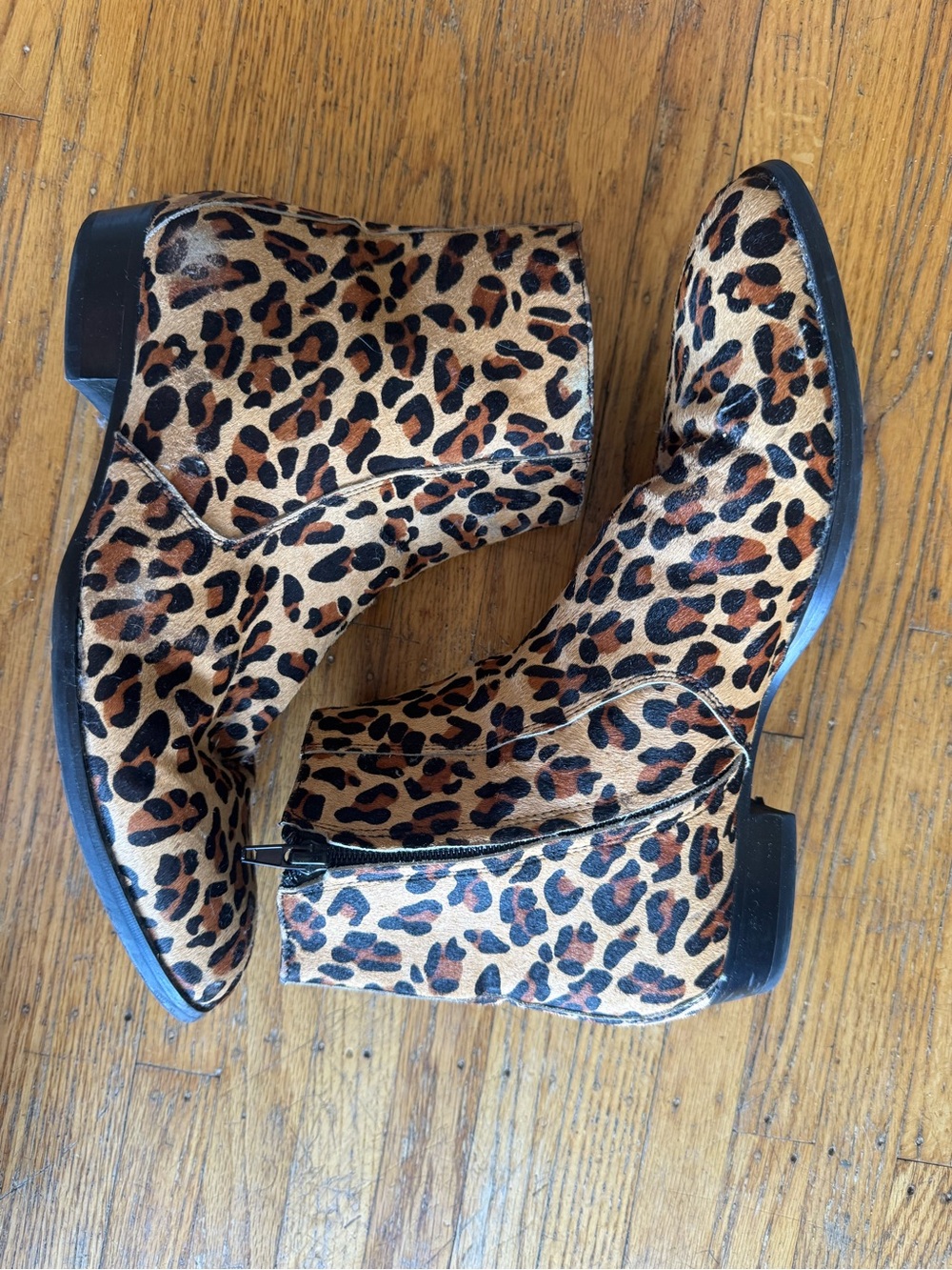 MENS STEVE MADDEN